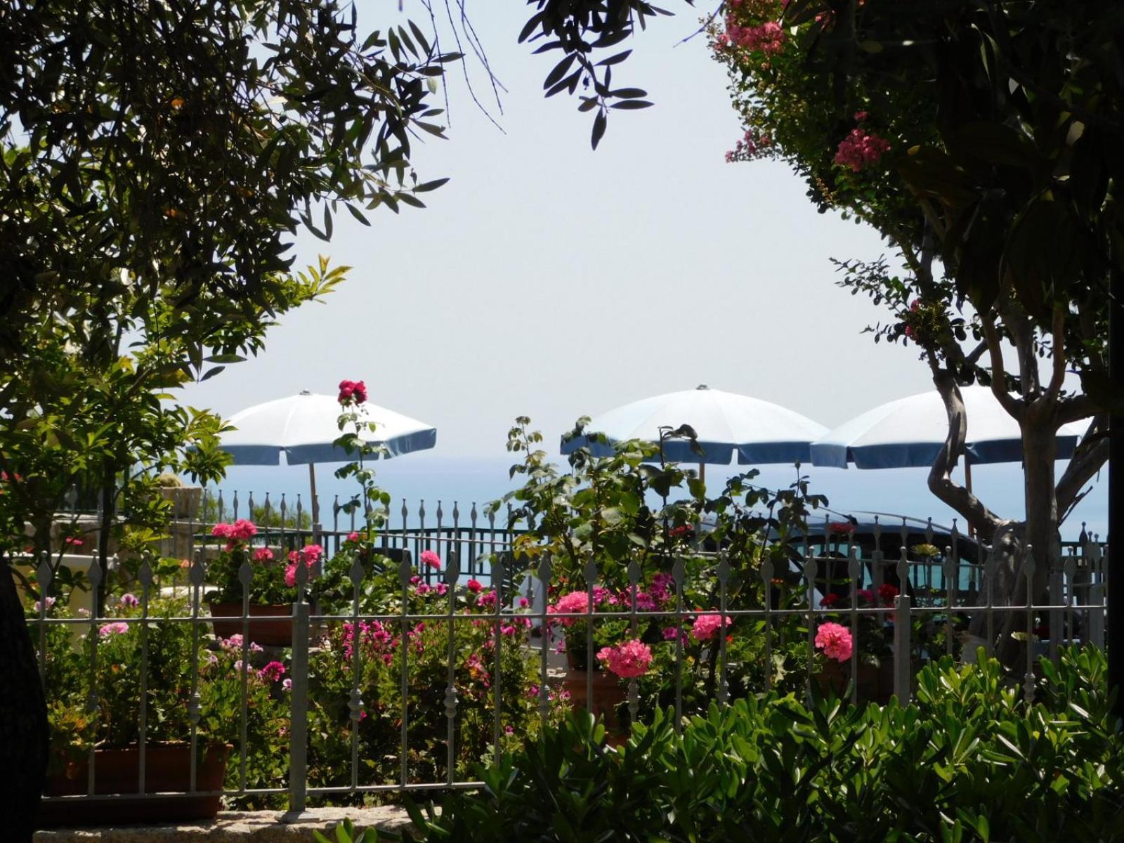 Dell'amicizia