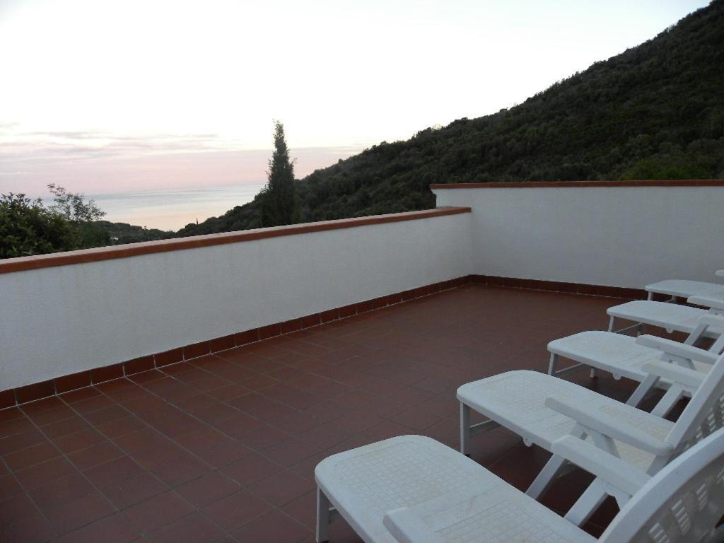 Dell'amicizia Seccheto