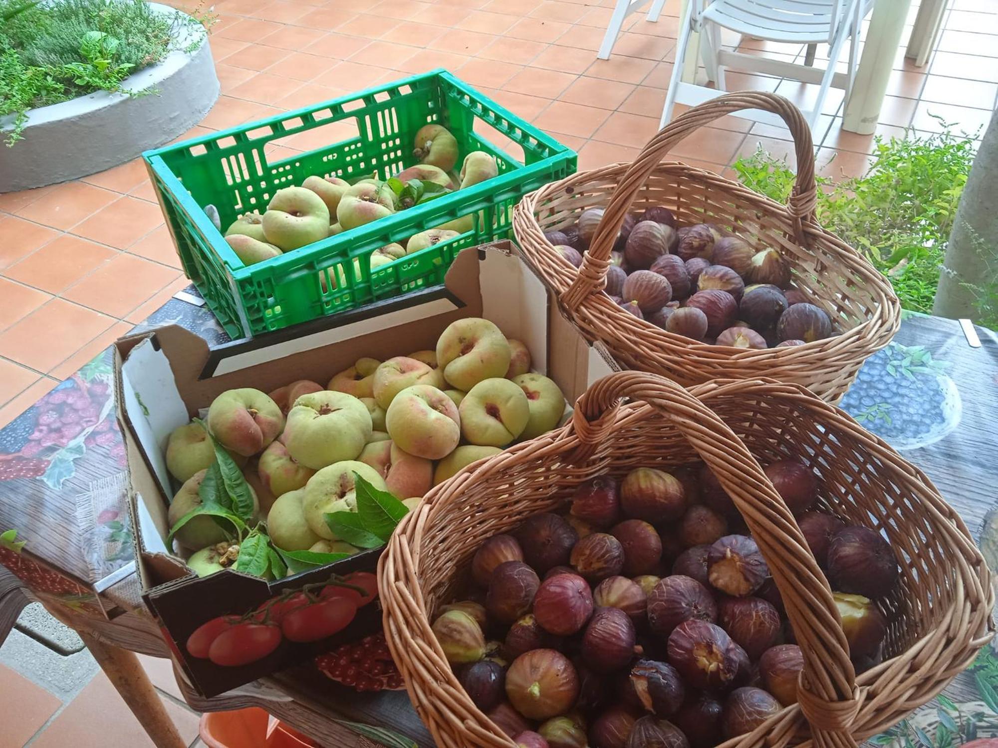 Dell'amicizia Hotel