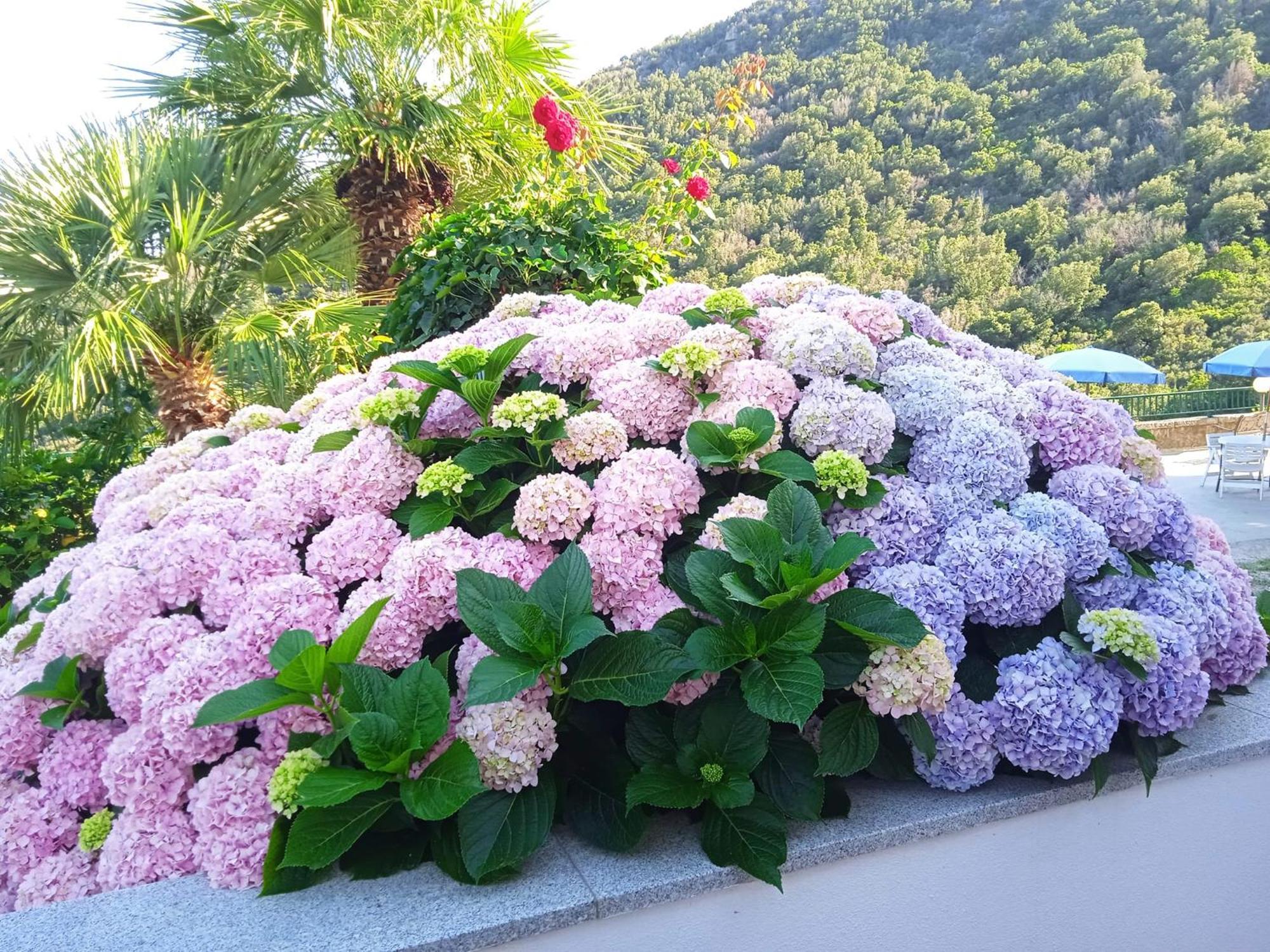 Dell'amicizia Hotel