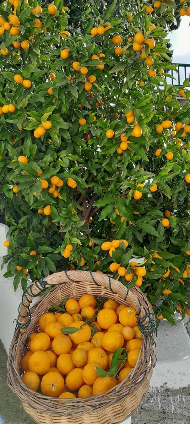Dell'amicizia